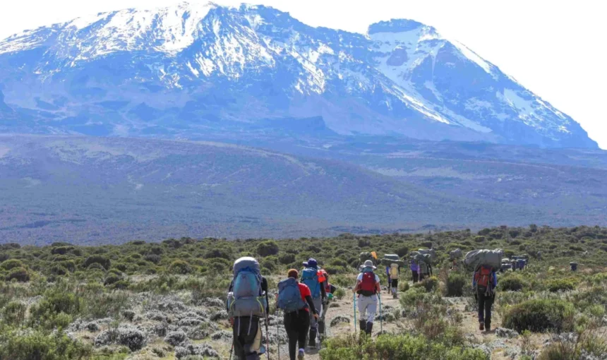 Kilimanjaro day-by-day climb breakdown