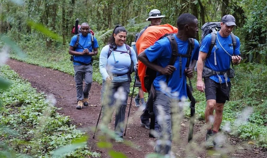 Kilimanjaro training plan (8–12 weeks