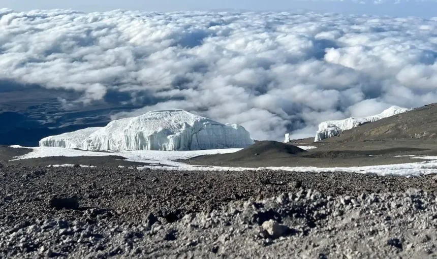 Kilimanjaro weather by month
