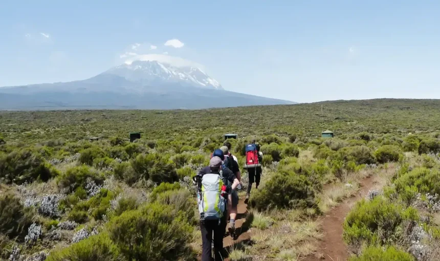Moshi vs Arusha for Kilimanjaro