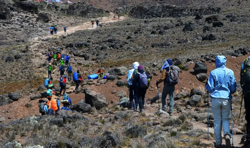 Travel insurance for Kilimanjaro