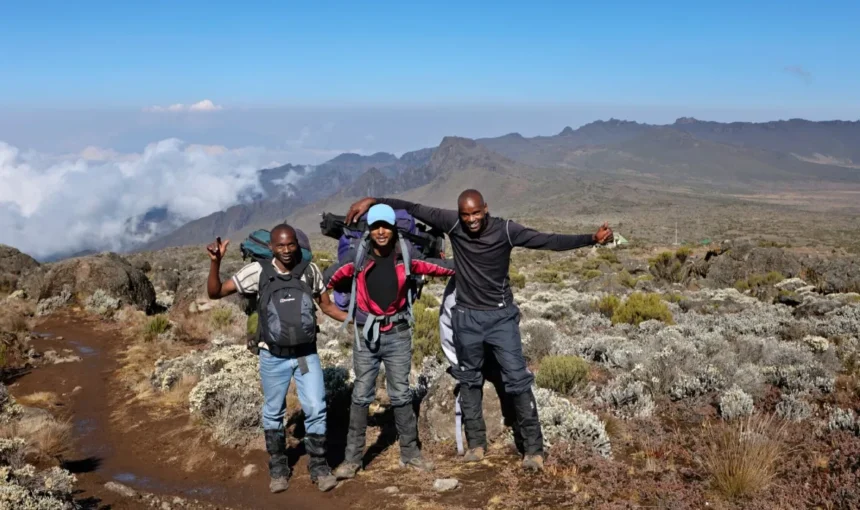 Which Kilimanjaro route has highest success rate