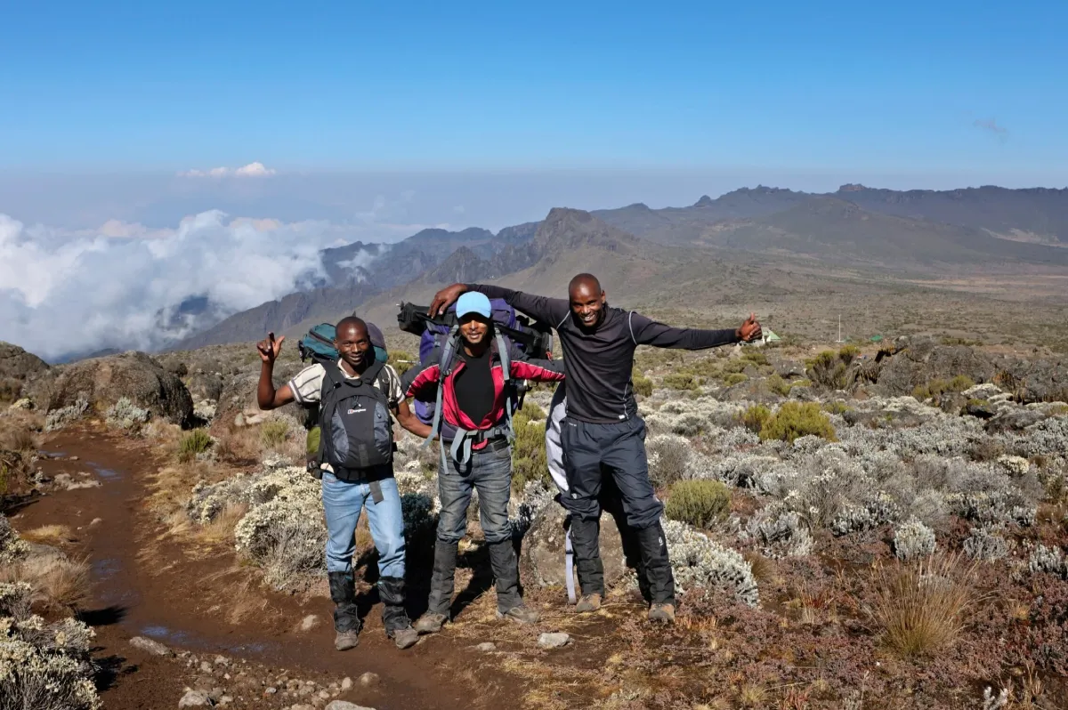 Which Kilimanjaro route has highest success rate