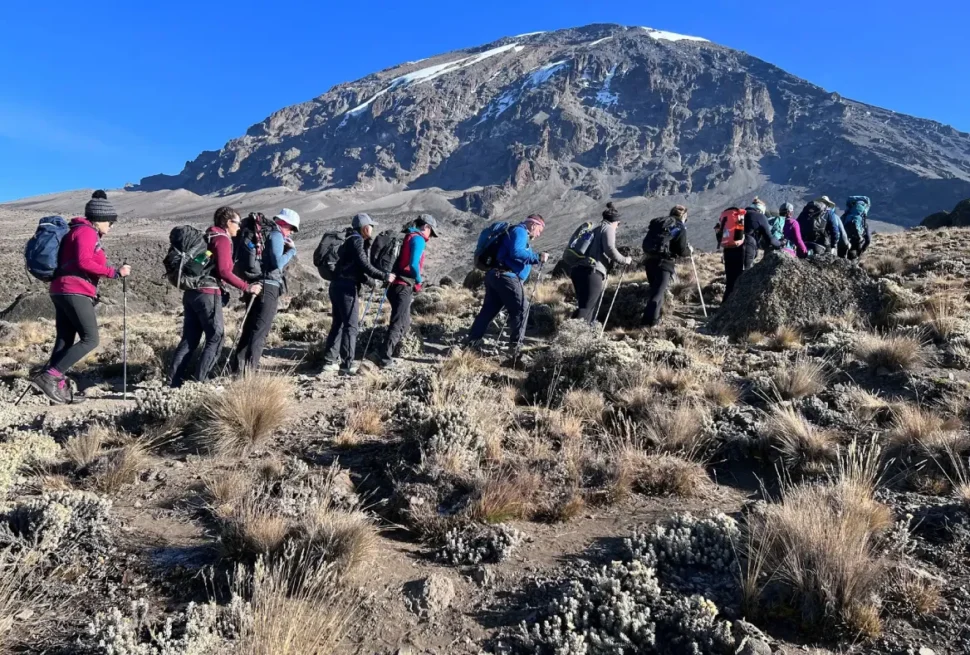 Why book Kilimanjaro with Tanzania Hiking