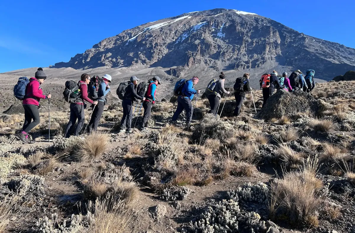 Why book Kilimanjaro with Tanzania Hiking