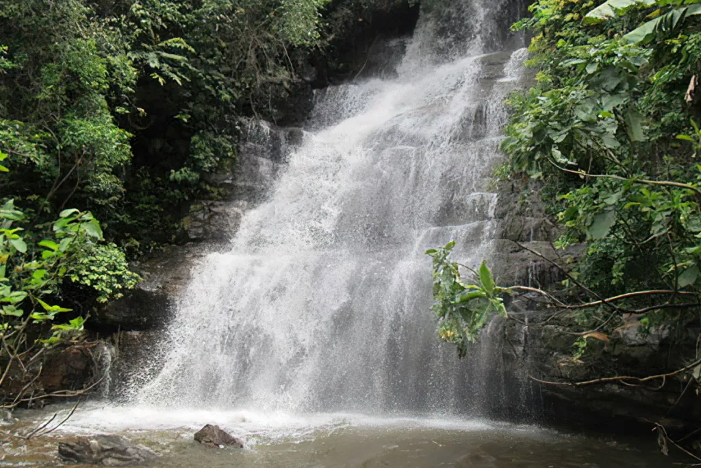 1 Day – Uluguru Mountains Nature trail, waterfalls and viewpoints
