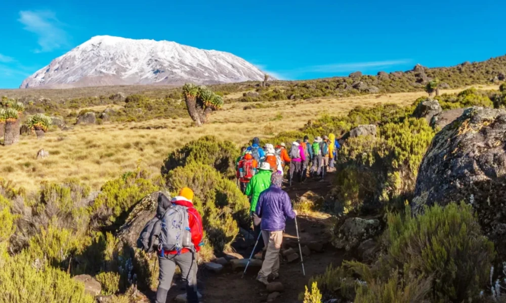 14 Best Hikes in Tanzania-The Ultimate Tanzania Hiking Guide