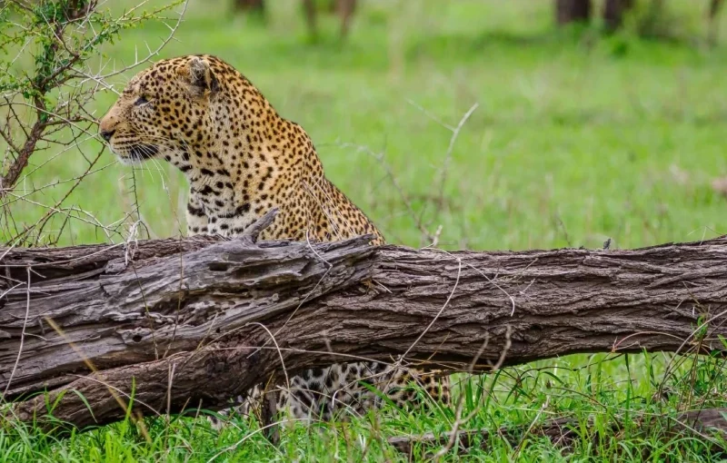 14 Best Hikes in Tanzania You Shouldn’t Miss