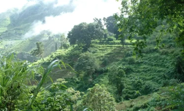 2 Days / 1 Night – Uluguru Mountains Forest and village trekking route