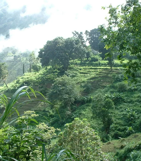 2 Days / 1 Night – Uluguru Mountains Forest and village trekking route