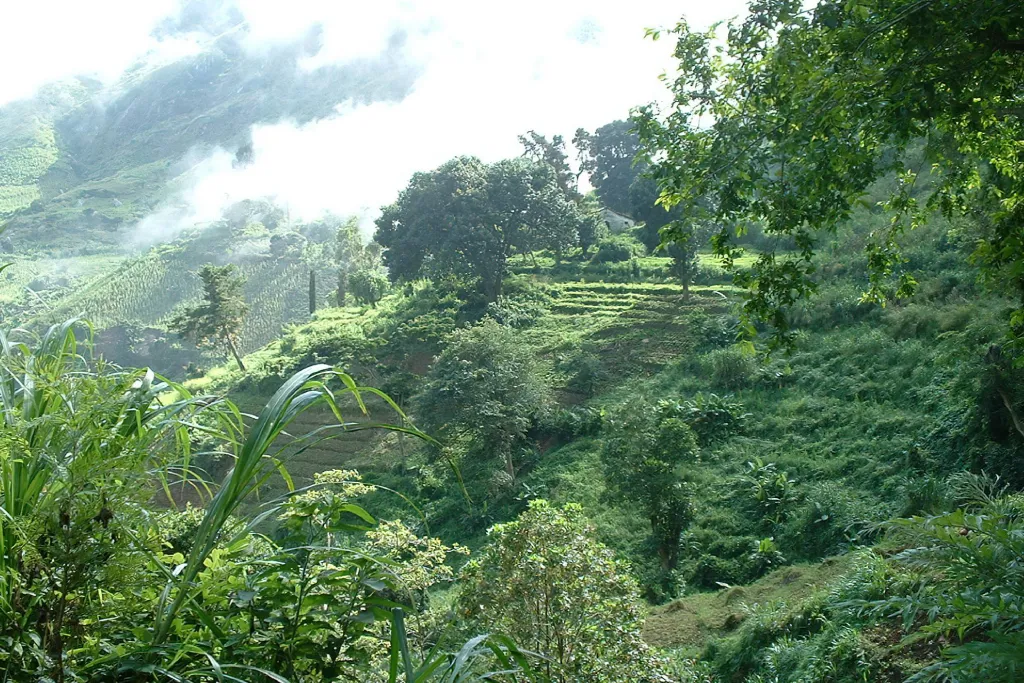 2 Days / 1 Night – Uluguru Mountains Forest and village trekking route