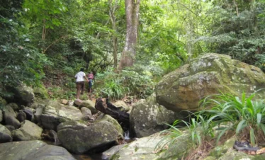 3 Days / 2 Nights –Uluguru Mountains Cultural and forest trekking experience