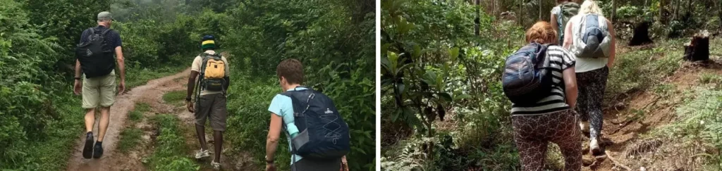 3 Days / 2 Nights –Uluguru Mountains Cultural and forest trekking experience