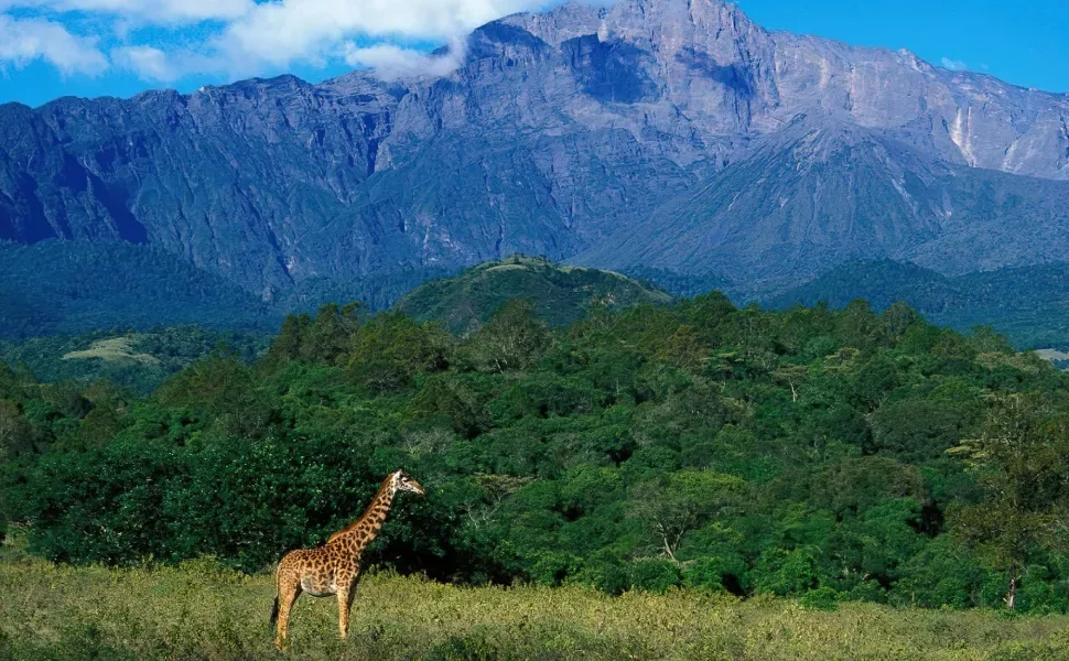 7 Day Tanzania Adventure With Mount Meru