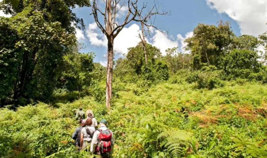 Beginner-Friendly Trekking and Hiking Trips in Tanzania