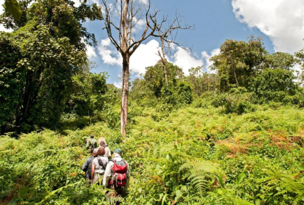 Beginner-Friendly Trekking and Hiking Trips in Tanzania