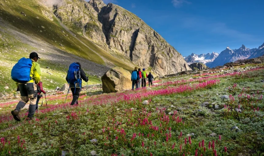 Best Hiking Destinations in the World for Adventure Lovers
