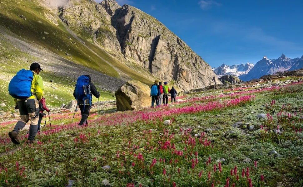 Best Hiking Destinations in the World for Adventure Lovers