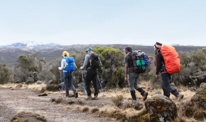 Best Time for Trekking and Hiking in Tanzania: Weather and Seasons Guide