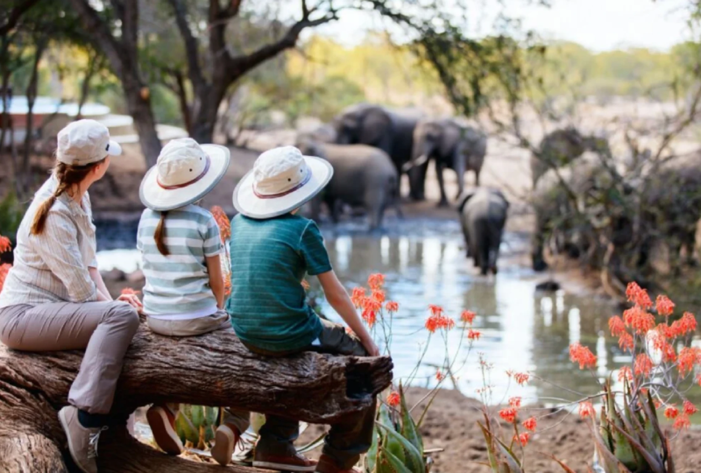 Family-Friendly Hiking and Trekking Tours in Tanzania