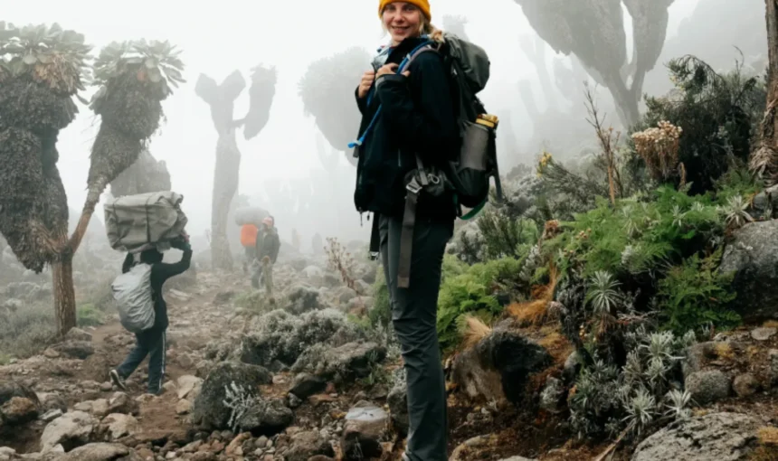 Mt Kilimanjaro Climbing, Trekking and Hiking Tours: A Complete Planning Guide