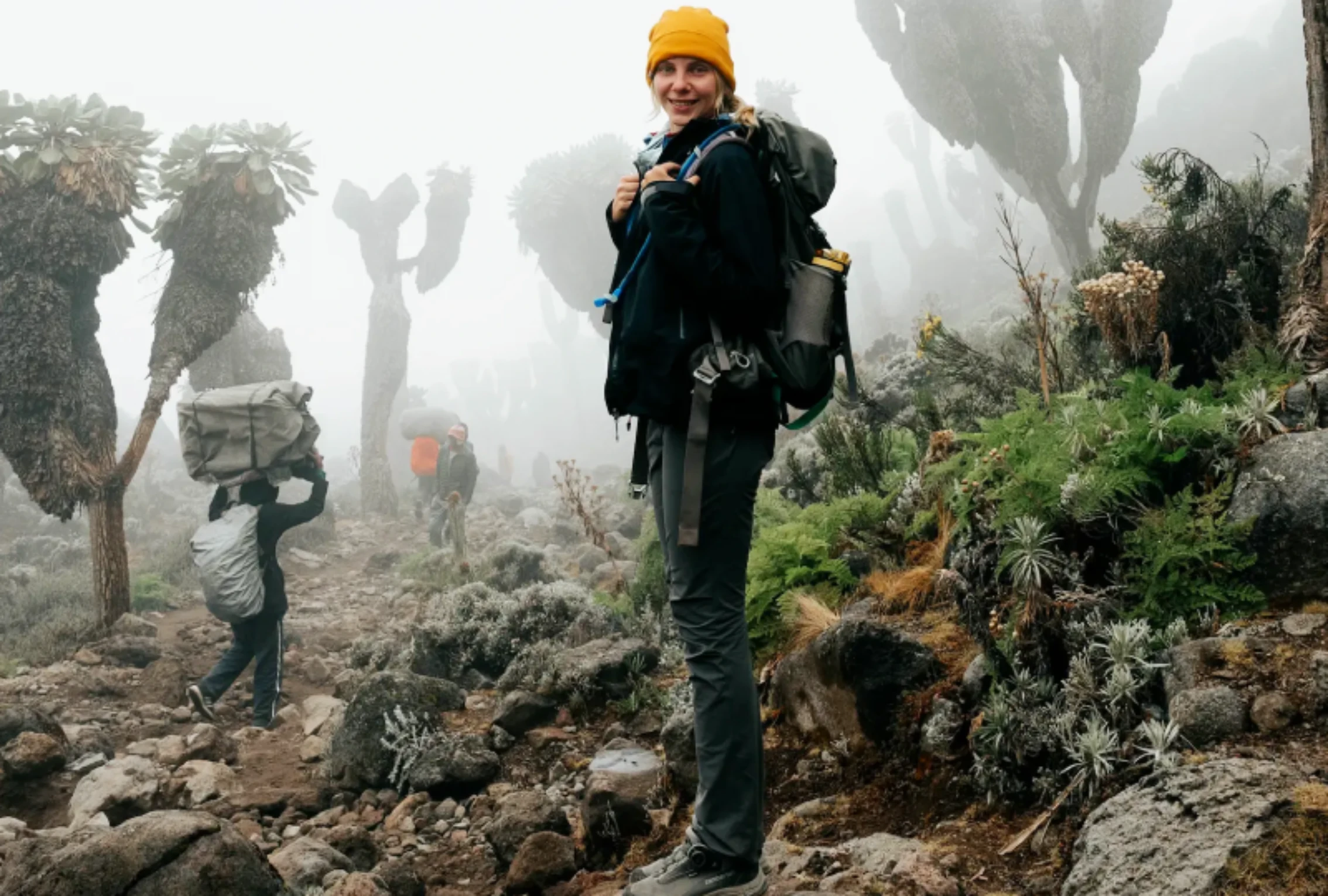 Mt Kilimanjaro Climbing, Trekking and Hiking Tours