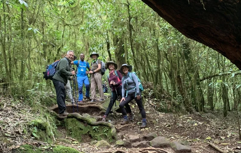 Trekking & Hiking in Tanzania: The Ultimate Adventure Guide for First-Time Visitors