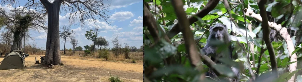 Udzungwa- Sanje waterfalls