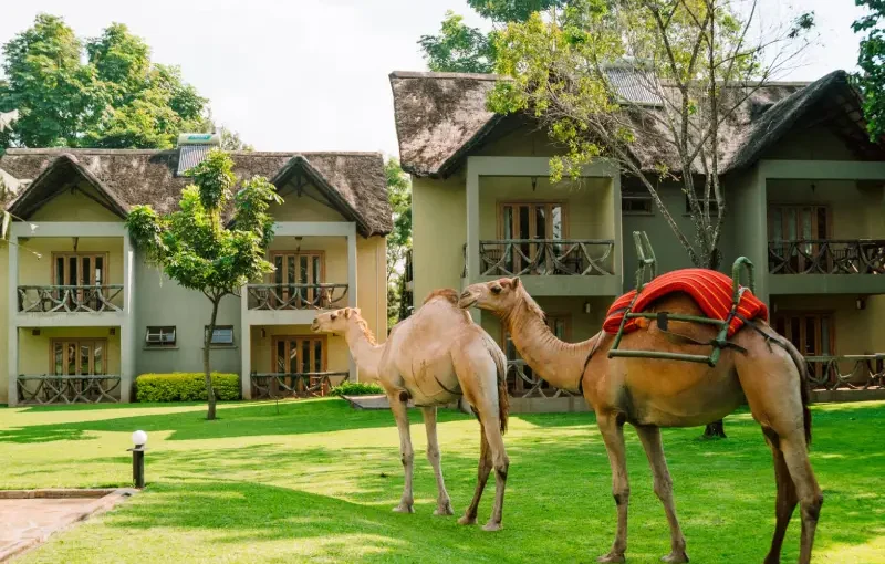 Weru Weru River Lodge