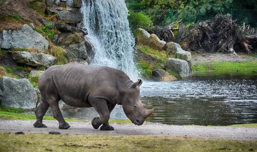 Best National Parks in Tanzania for Hiking