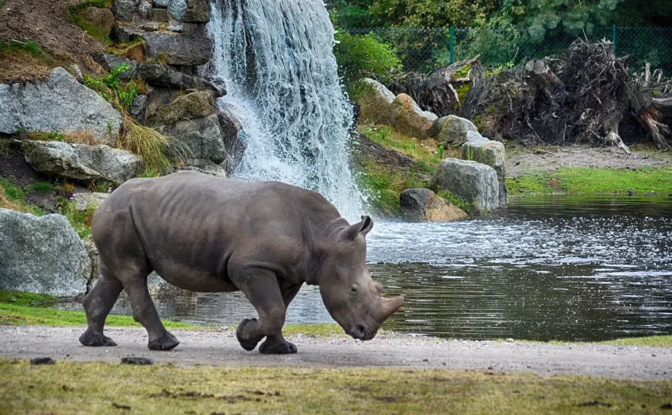 Best National Parks in Tanzania for Hiking