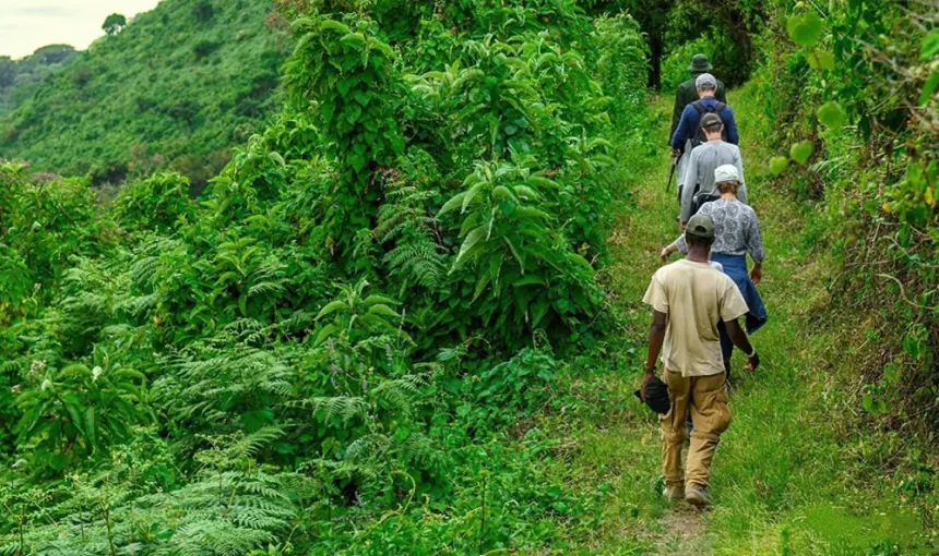 Best Time to Visit Tanzania for Hiking