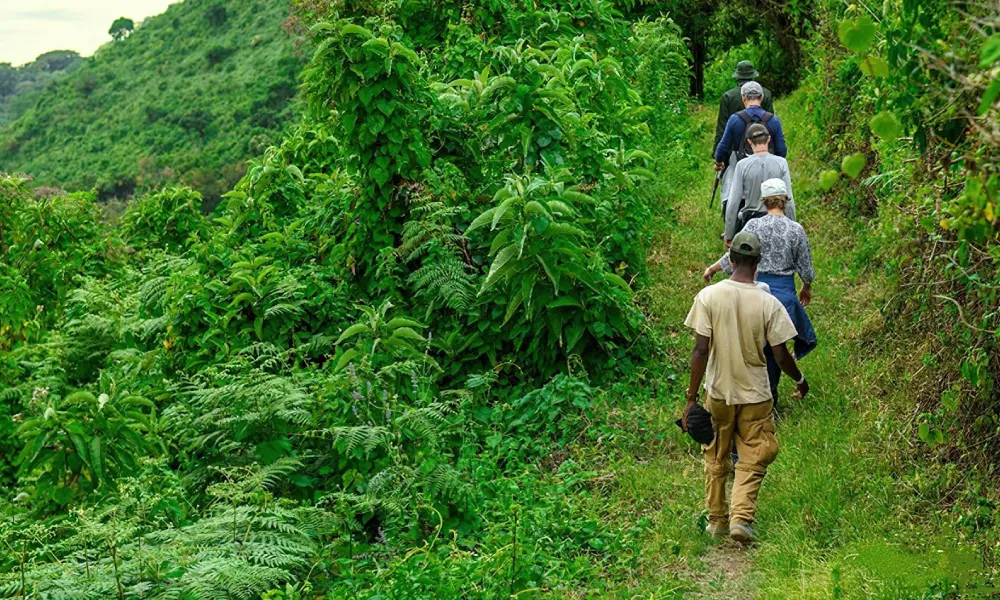 Best Time to Visit Tanzania for Hiking