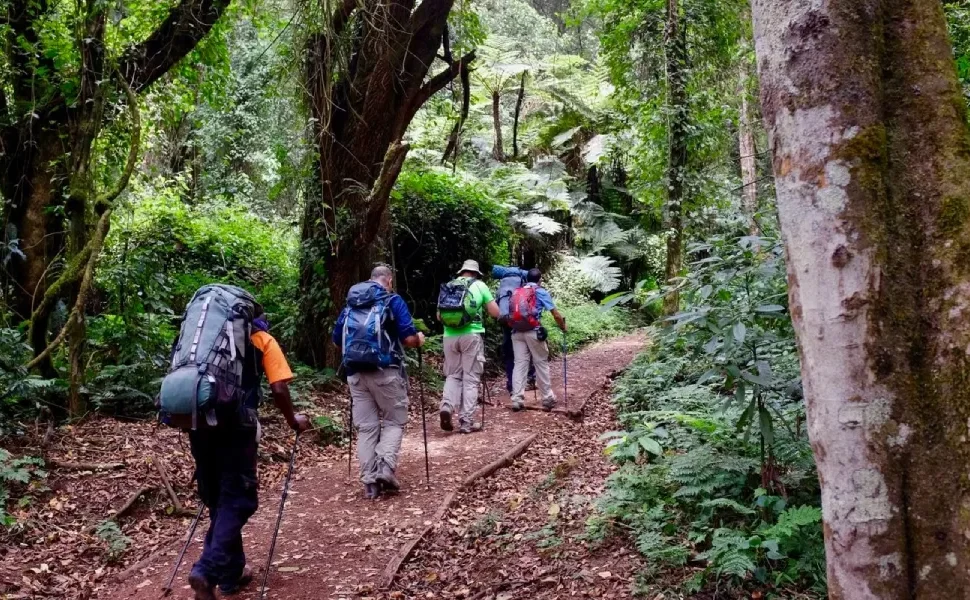 Can Beginners Climb Mount Kilimanjaro?