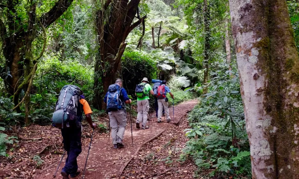 Can Beginners Climb Mount Kilimanjaro?