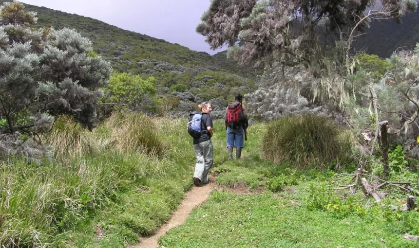 Eco Friendly Trekking on Mount Meru