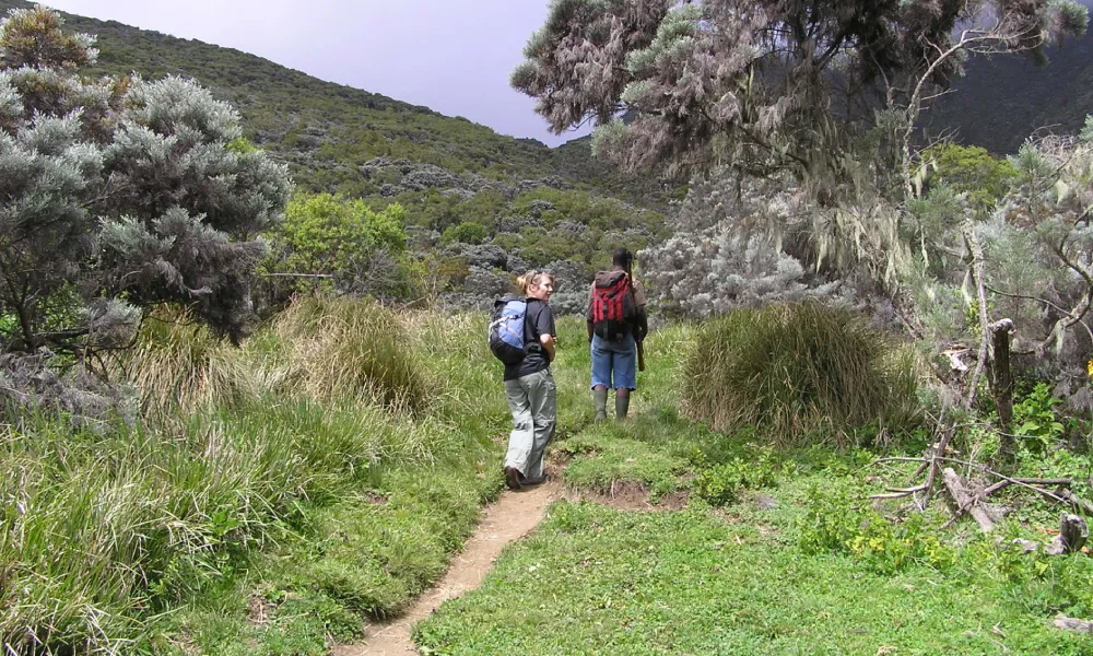 Eco Friendly Trekking on Mount Meru