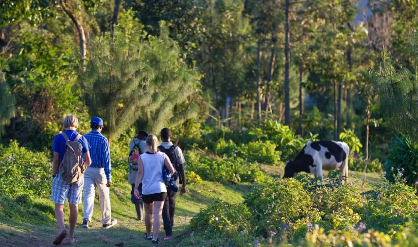 Exploring the Momella Route on Mount Meru