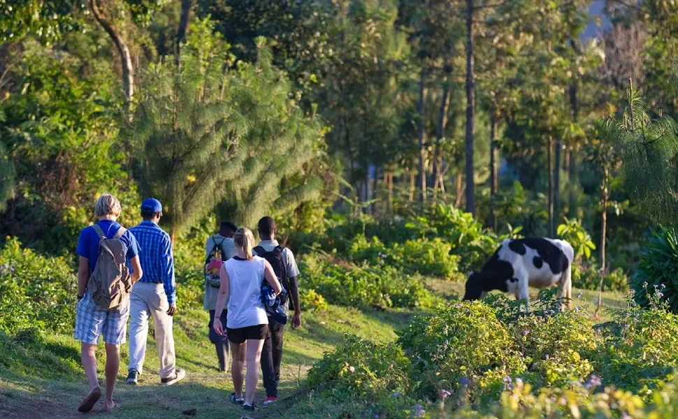 Exploring the Momella Route on Mount Meru
