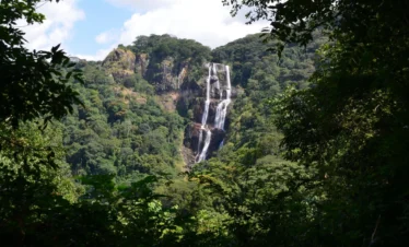 2 Days Sanje Night – Waterfalls and forest trek