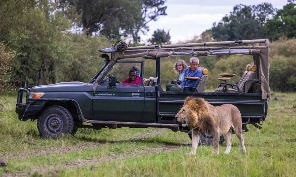 How to Combine Mount Meru Trek With Safari Trips