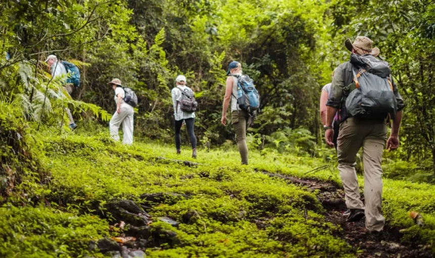 Is Tanzania Safe for Hiking and Trekking?