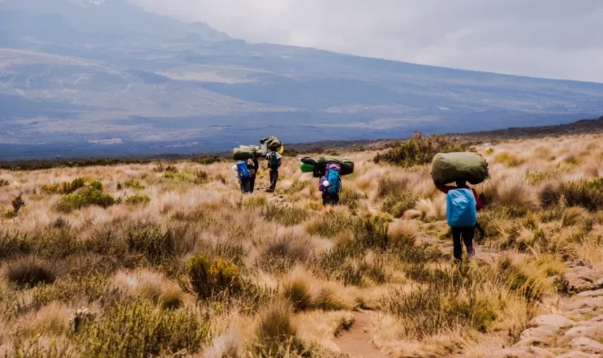 Mobile Network Coverage on Mount Meru Trails