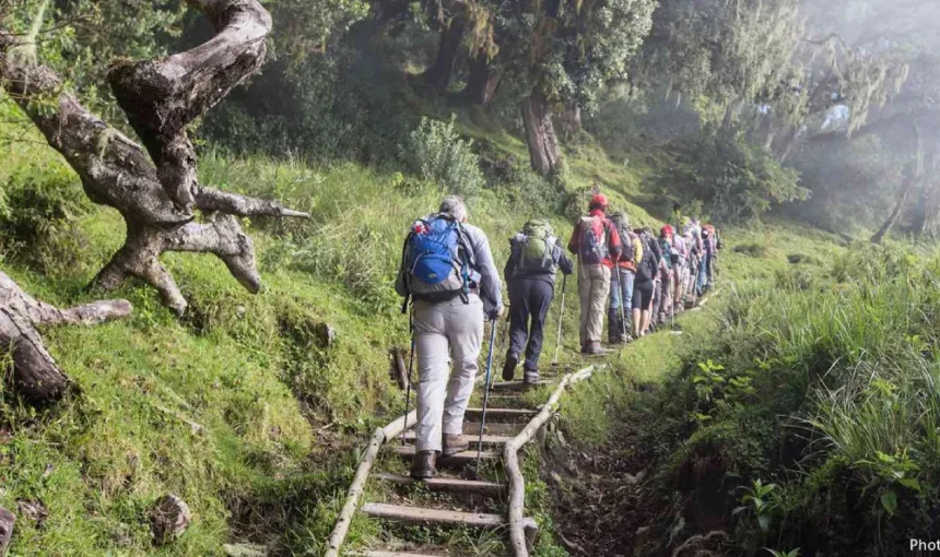 Quick Guide to Mount Meru Park Fees and Permits