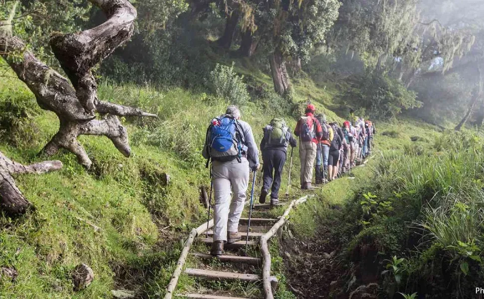 Quick Guide to Mount Meru Park Fees and Permits
