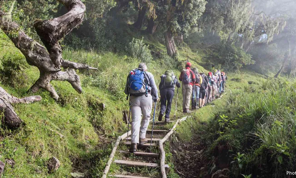 Quick Guide to Mount Meru Park Fees and Permits