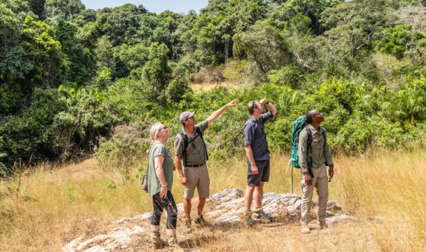 Tanzania Hiking and Safari Itinerary Ideas