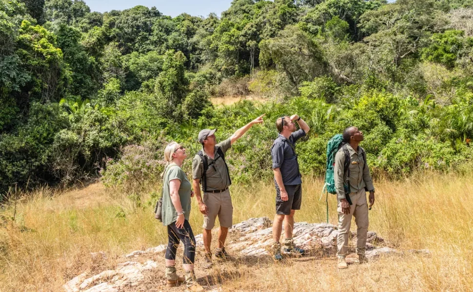 Tanzania Hiking and Safari Itinerary Ideas
