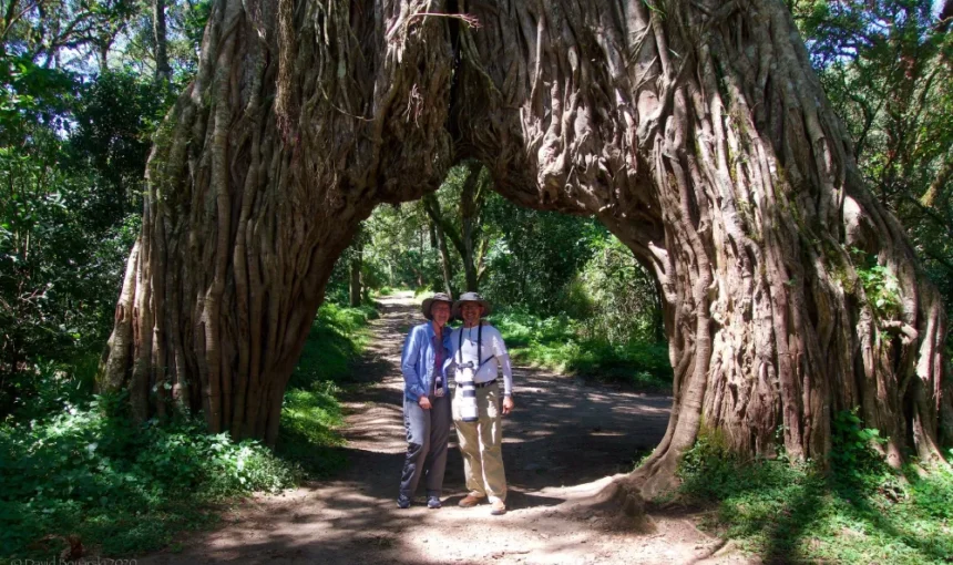 The Fig Tree Arch and Other Natural Landmarks on Mount Meru