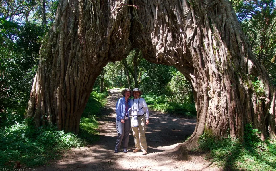 The Fig Tree Arch and Other Natural Landmarks on Mount Meru